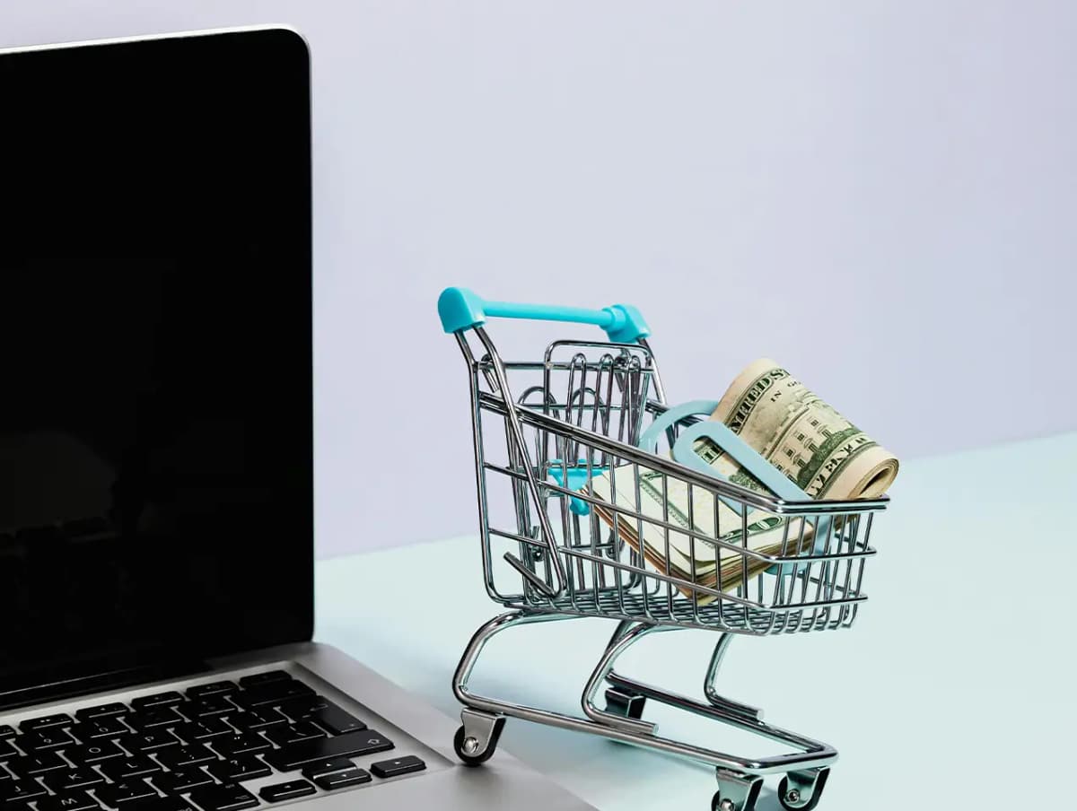 Ecommerce Integration solutions for your high risk business.